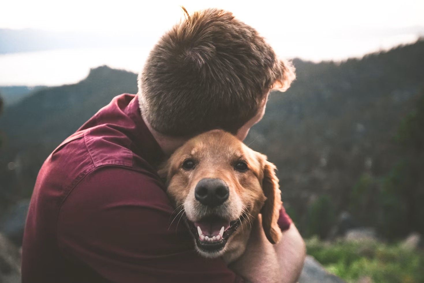 Un homme serrant affectueusement son chien dans ses bras