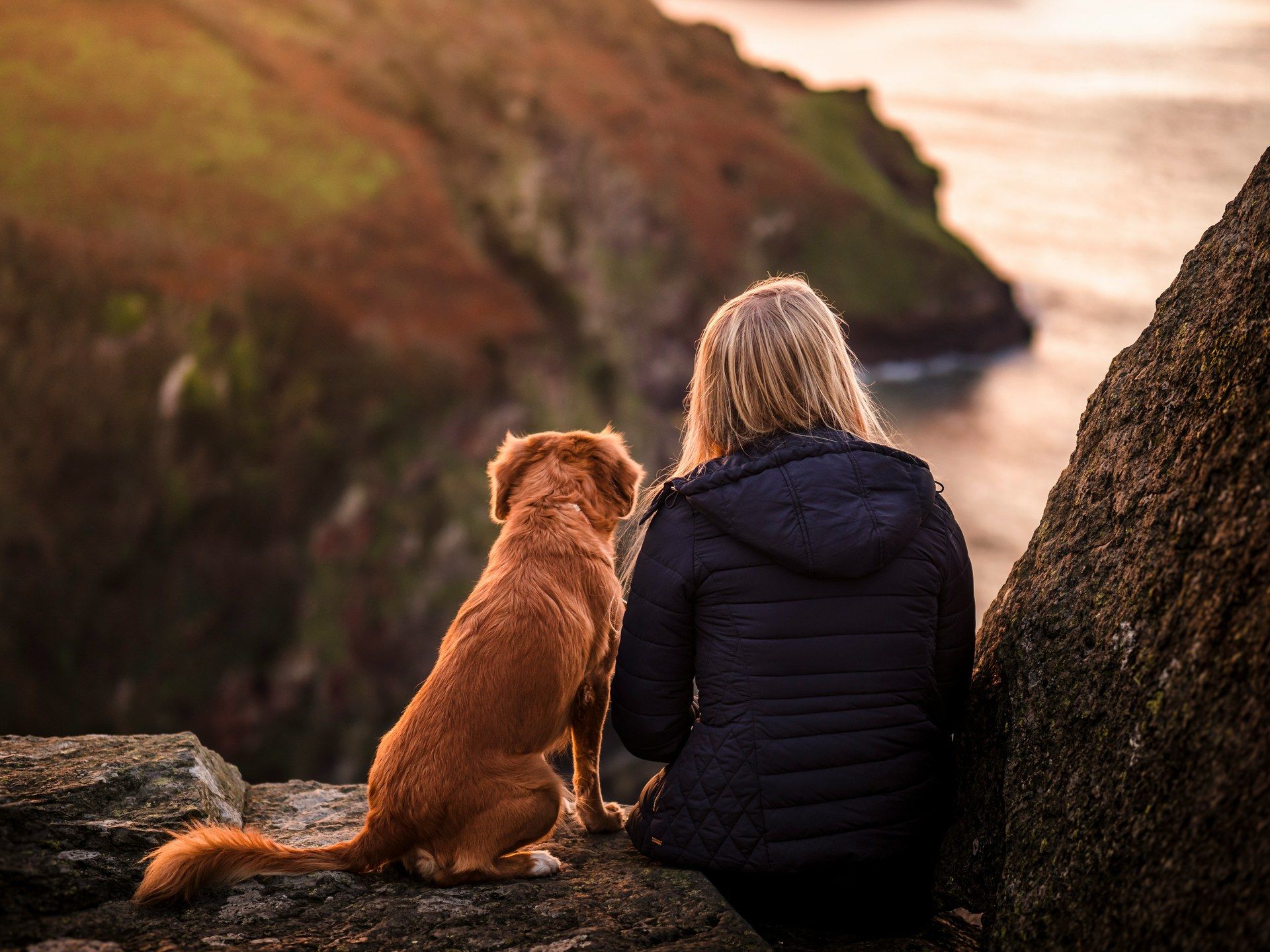 Une femme et son chien contemplant ensemble le paysage côtier