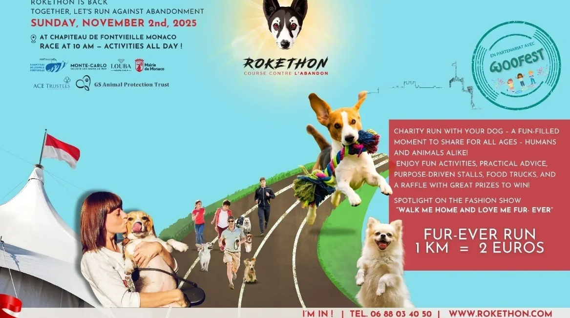 Affiche Rokethon 2025 avec Woofest
